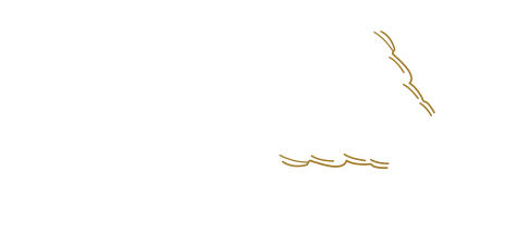 homemade dressing
