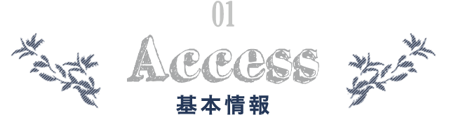 Access 基本情報